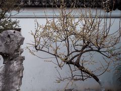 -木渎古镇