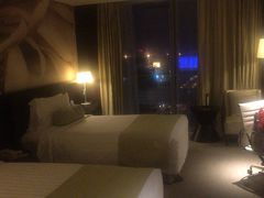 -国家会议中心大酒店