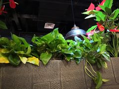 -舌尖上的食缘花园主题餐厅