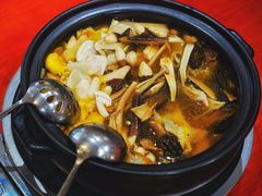 -菌之家·专业纯野生菌火锅·特色炒菌