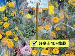 -天河体育中心