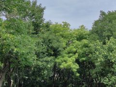 -千佛山风景名胜区