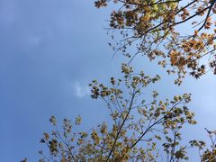 -铜锣山矿山公园