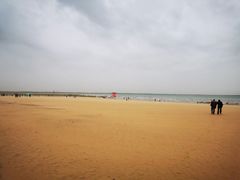 -红碱淖景区