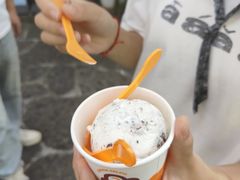 -iceason爱茜茜里·意大利健康冰淇淋(骑龙巷店)