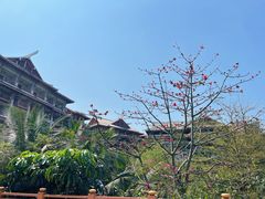 -海口万豪·大堂吧·望海吧.日落海景·下午茶·奶茶·咖啡·轻食·蛋糕·鸡尾酒·清吧