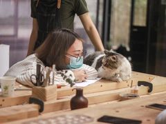 -五月木作·DIY木作文创体验店(北京路店)