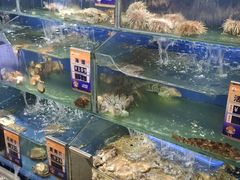 -小船渔村•大连菜•大连焖鱼(明泽街店)