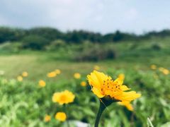 -清水湾旅游度假区