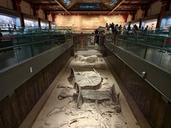 -北京大葆台遗址博物馆