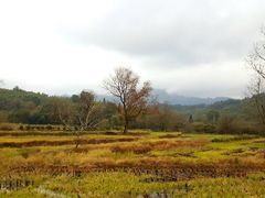 -塔川景区