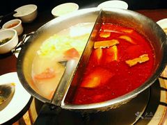 -鼎王麻辣锅(七贤店)