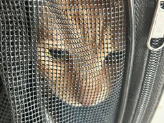 -美联众合24小时·皮肤科·外科·全科诊疗中心(华苑分院)
