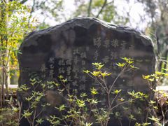 -上海佘山国家森林公园天马山园