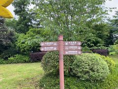 -苏州太湖国家湿地公园