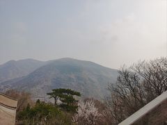 -妙峰山风景名胜区