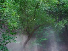 -北京西山国家森林公园