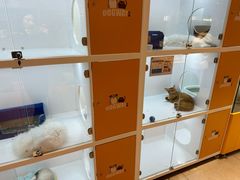 -狗道宠物(常熟印象城店)