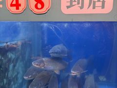 -淘米捞·米汤脆鲩鱼火锅(福田皇岗店)