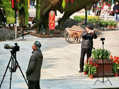 -南山植物园
