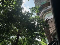 -亞婆井·劲抽面食(铂顿城店)