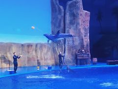 -华夏文旅海洋公园