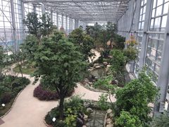 -祥源·阜阳生态乐园