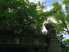 -天一阁博物院