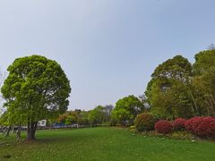 -上海山野camping·户外天幕烧烤·团建拓展营地