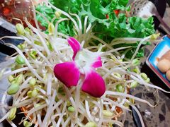 火锅豆芽-匠岳·王宝器麻椒鱼(会展中心店)