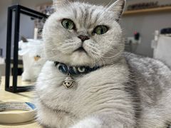 -Oasis绿洲银饰珍珠手作diy(壹方城店)