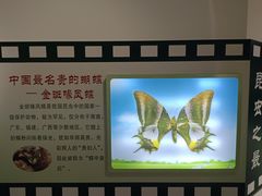 -上海昆虫博物馆