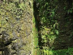 -鹿院坪生态旅游景区