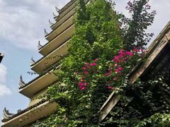 -生宇山珍野生菌汤锅•始于1999(双流古塔店)
