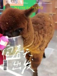 -神奇动物撸宠馆·羊驼·小浣熊·异宠(豫园店)