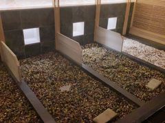 -汤泉良子.足疗按摩.SPA(中关村店)