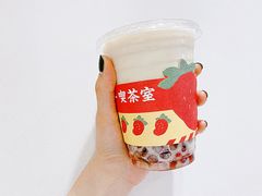 -伏小桃(明瓦廊店)
