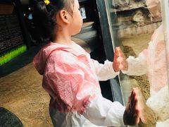 -清迈夜间动物园