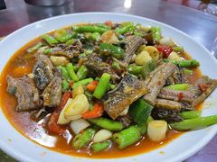 -柏合黄记豆腐皮饭店