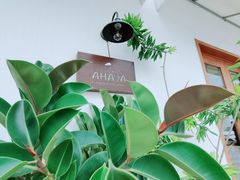 -AHAVA·Fang Baking Studio