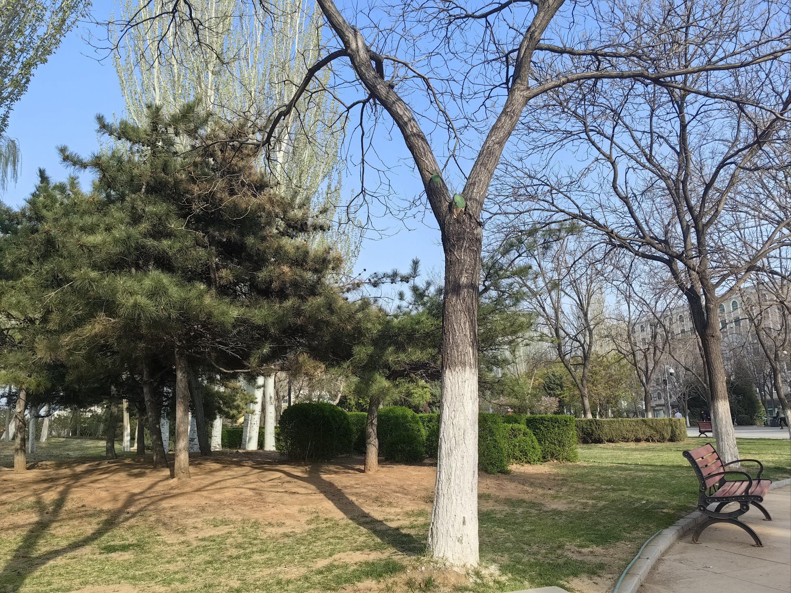 营口辽河公园,遛娃赏景两不误