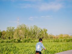 -永定河休闲森林公园