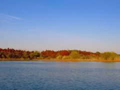 -溱湖国家湿地公园