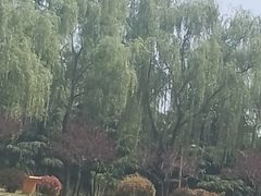 -洨河生态公园