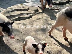 -宁波野生动物园