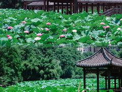 -龙头寺公园