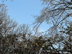 -惠山国家森林公园
