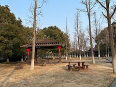 -苏州太湖湖滨国家湿地公园