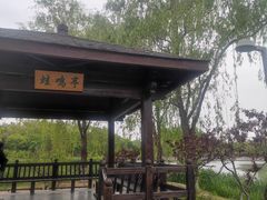 -大兴滨河森林公园