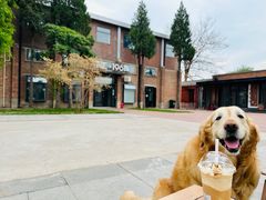 -小意思咖啡店(草桥店)